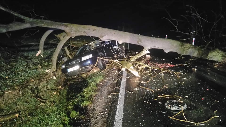 Zdarzenie drogowe w Starej Kraśnicy - OSP Swieriawa