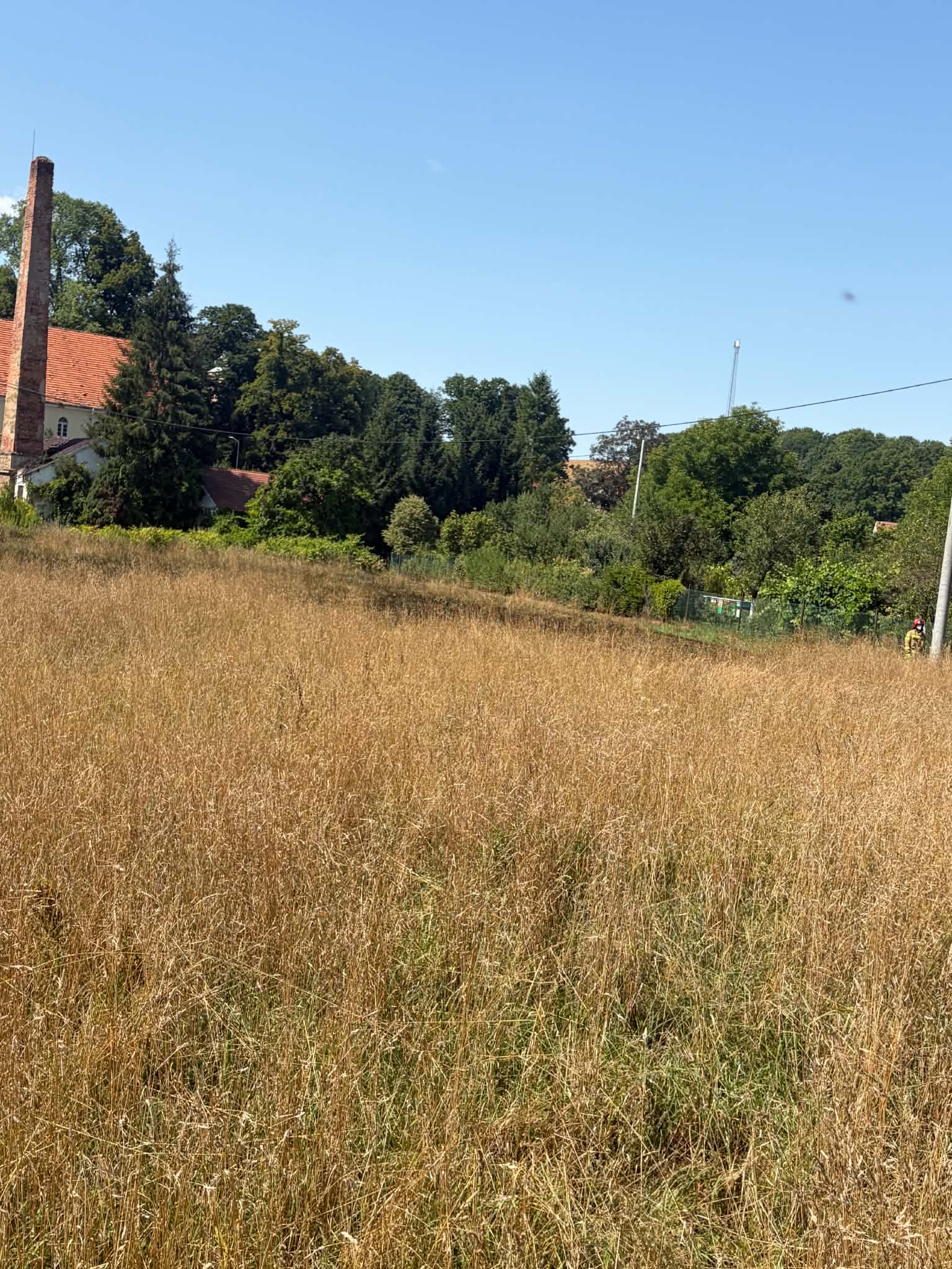 Pożar traw - OSP Swieriawa